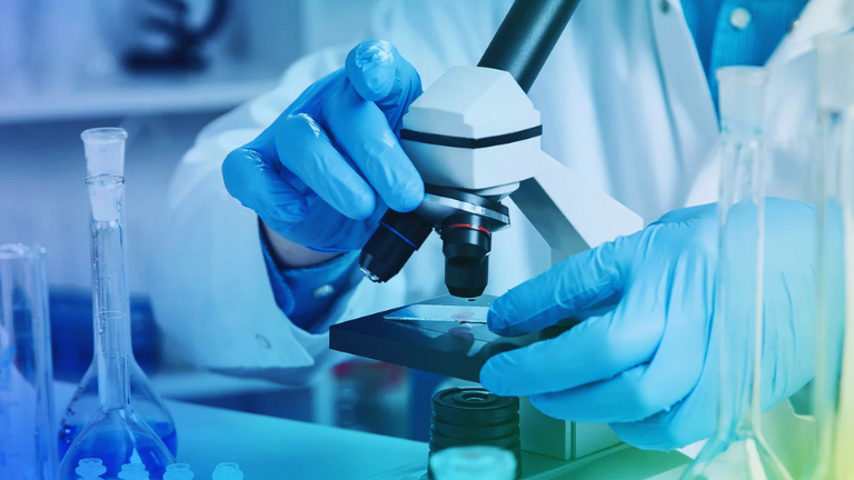 Professional Training Programs